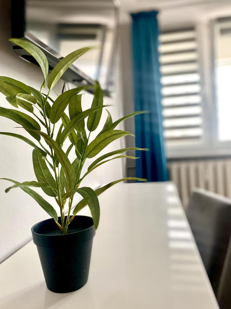 Doba Rent Pokoje Centrum Palacowa Bialystok Ngoại thất bức ảnh